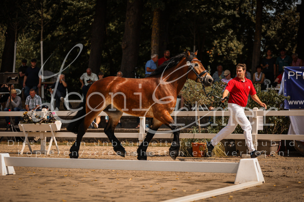 1.Sa00018 | Leoni Ertmer Photography - Realisiert mit Pictrs.com