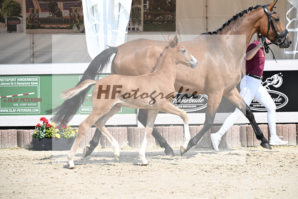 Arezzo Man x Zinedream_HF_Lohmiller_12250393 | hf-fotografie - Realisiert mit Pictrs.com