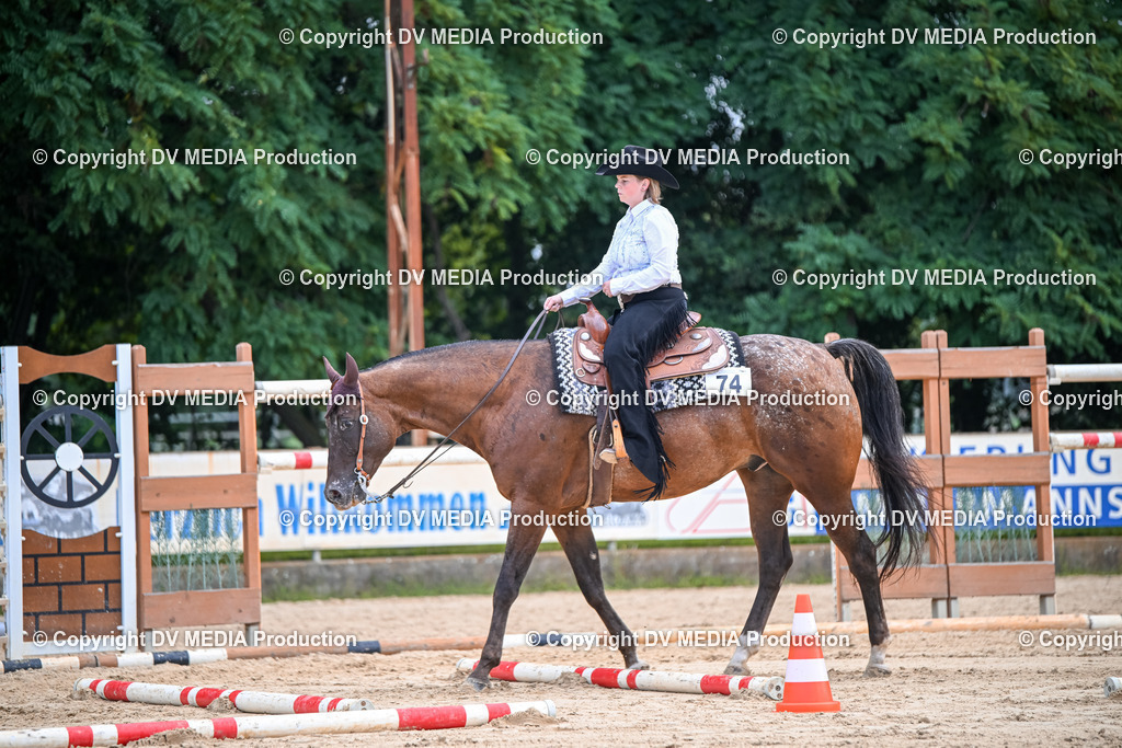 ZS1_3388 | dv-media-shop - Realisiert mit Pictrs.com