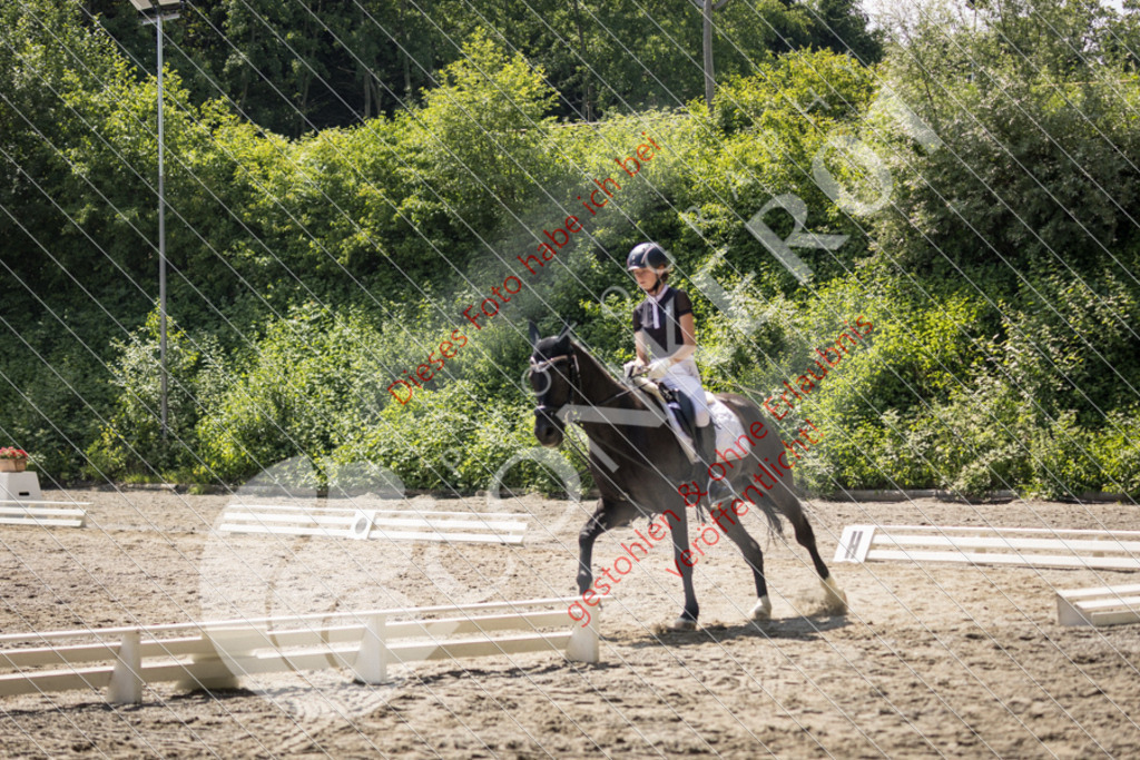 IMG_4539 | Sport-, Event- und Tierfotos in Profiqualität. Einfach auswählen, bestellen und herunterladen. Dein Moment – perfekt festgehalten.