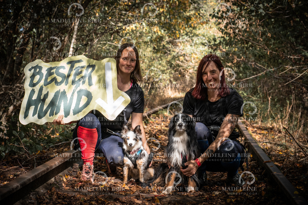 madeleinebirr.fotografie.2026.cc.hunsrueck.12-13Uhr.335 | hundefotografie-birr
