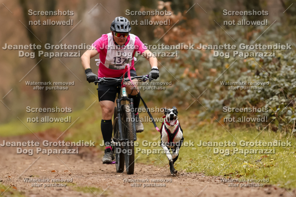 Dog Paparazzi - Speedhunter Mannheim  2025-386 | Dog Paparazzi Jeanette Grottendiek Fotografie & Videografie