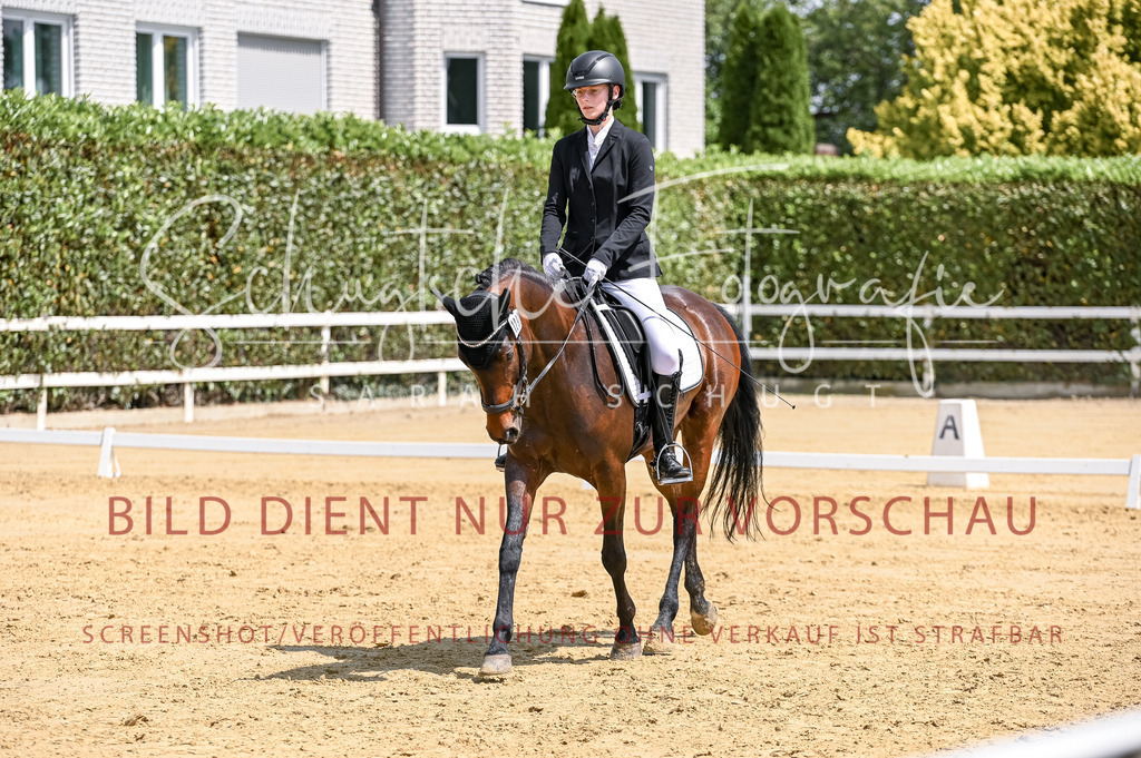 Schugtsche-Aluta25-53.Amat.Dressurprf.A2-328 | Schugtsche Fotografie - Realisiert mit Pictrs.com