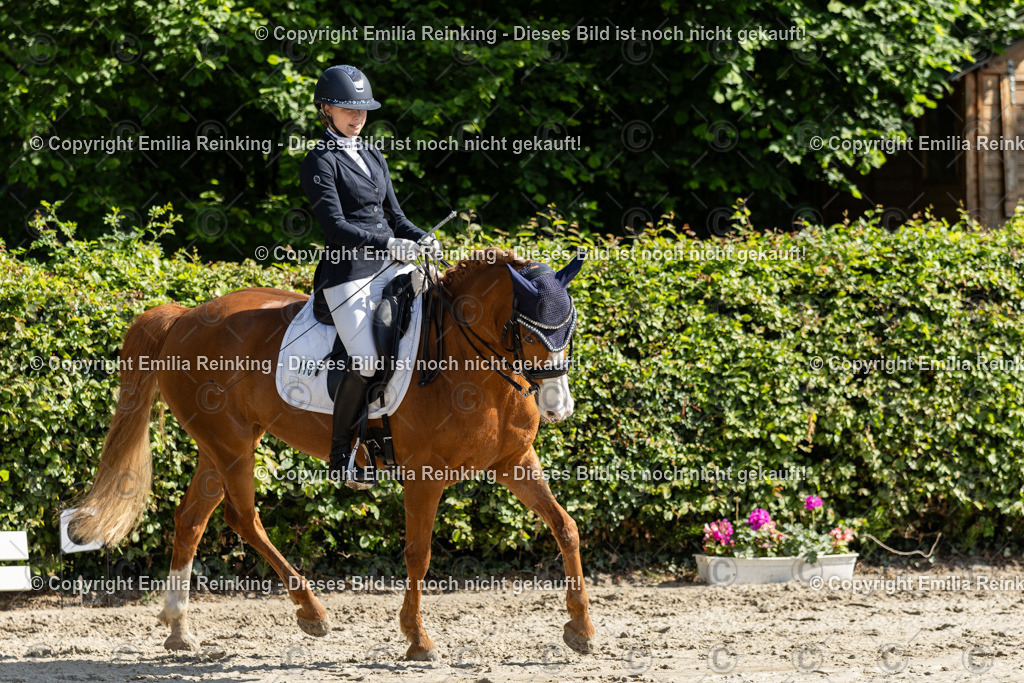 CL5A7174 | Emilia Reinking Fotografie - Realisiert mit Pictrs.com