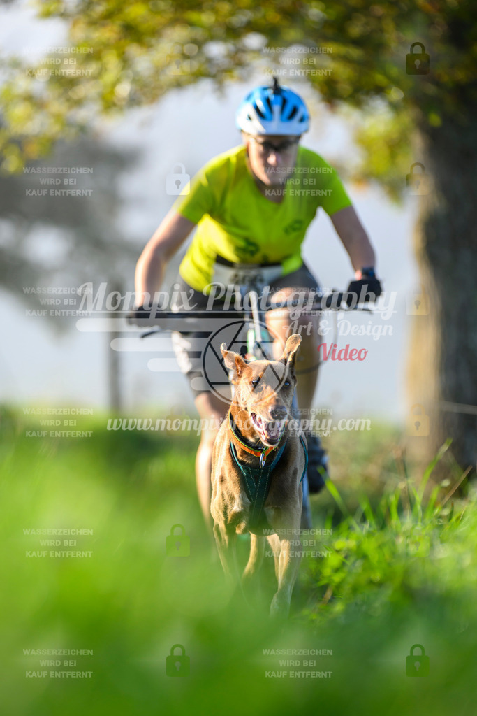 MompixPhotography_20TSB_E3_Bike-197 | PayLife