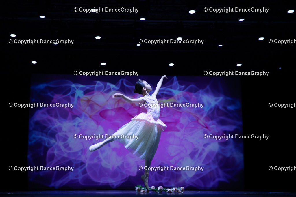 GPHY4796 | DanceGraphy - Realisiert mit Pictrs.com