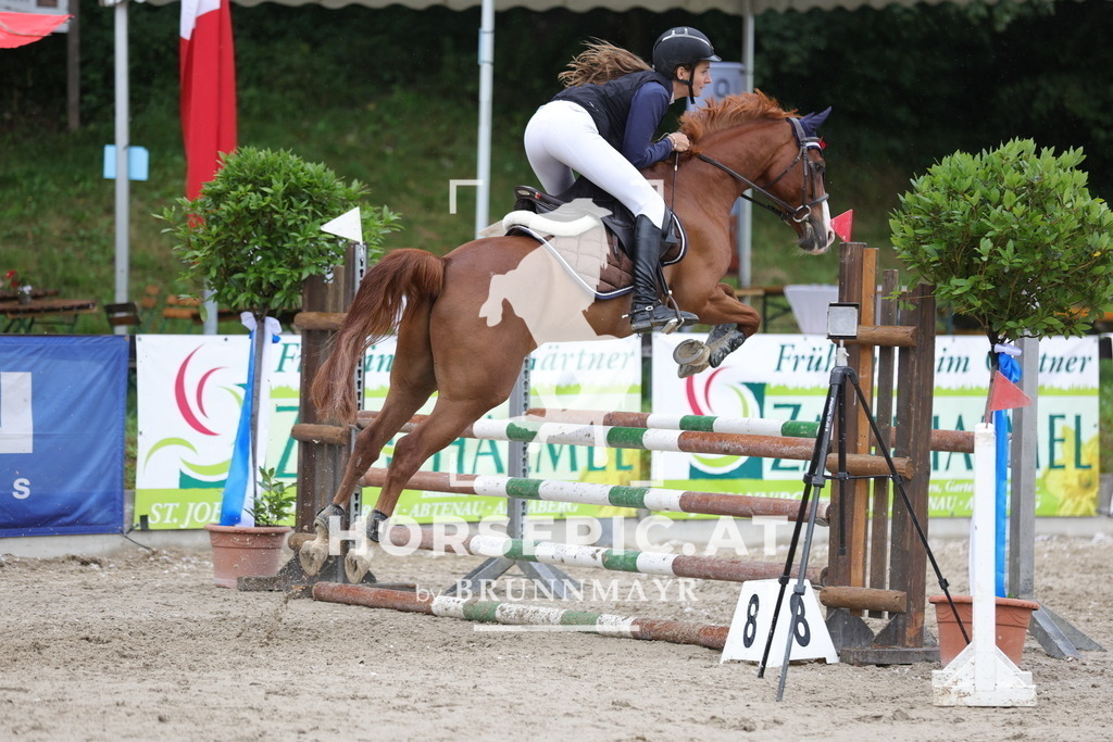0P6A1556 | Willkommen bei Brunnmayr - Design & Fotografie – Ihrem Spezialisten für Reitturniere und Pferdeveranstaltungen in Oberösterreich, Salzburg und Bayern! Seit über 17 Jahren sind wir leidenschaftlich dabei.