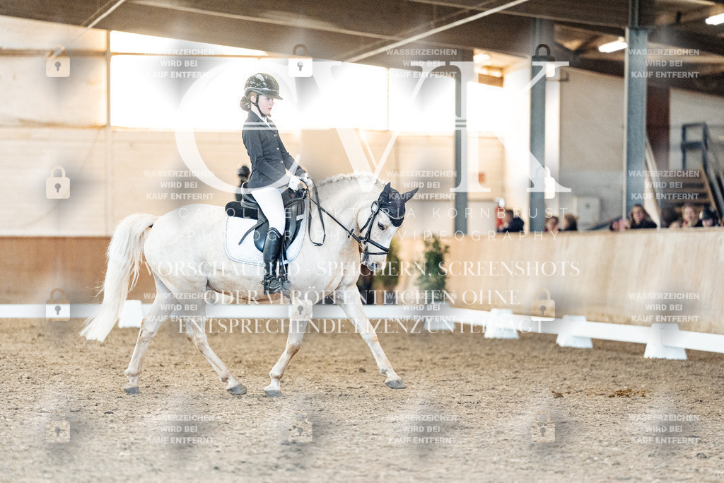 CK907492 | Turnierfotografie Pferdefotografie Trier Rheinland-Pfalz Pferdesport Reitsport Tierfotografie Sportfotografie Pferdevideo Pferdevideografie Equestrianvideography equestrianphotography  - Realisiert mit Pictrs.com