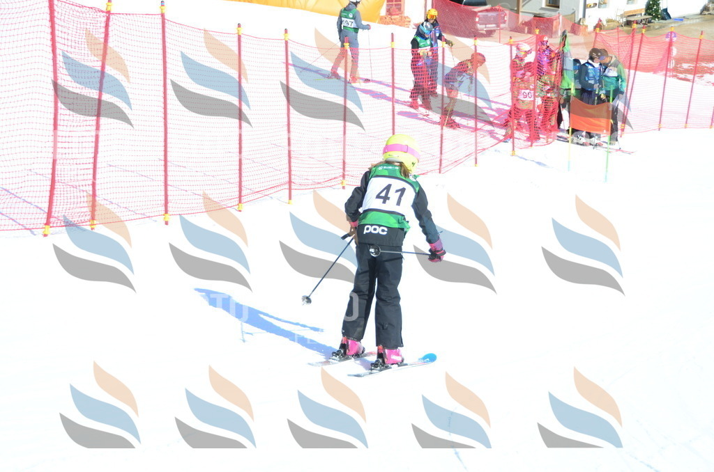 C5061 | holidayphoto