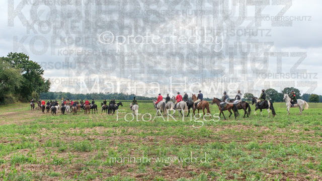 Jagd Perdoel_MarinaHewigDSCF3885 | Fotografie, FotoArt, PferdesportArt, Pferdesportfotografie, Landschaftsfotografie, Reisefotografie, Reise, Pferde - Realisiert mit Pictrs.com