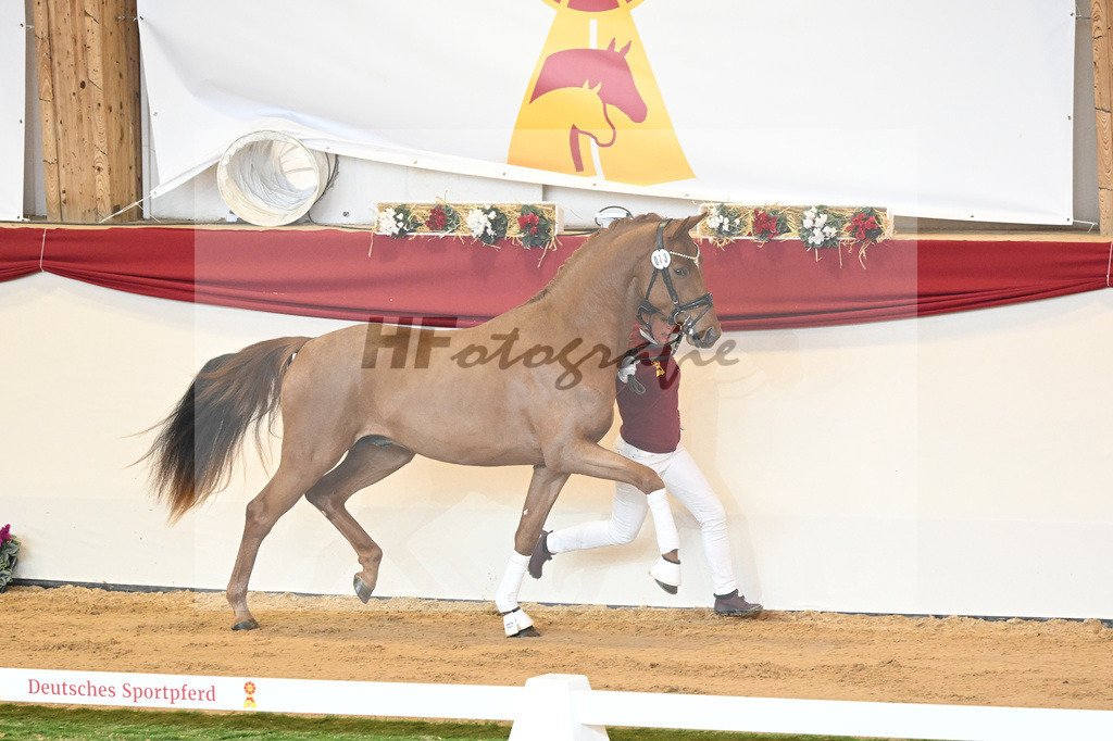 Kat-Nr. 73 Vaderland_Galneder_1230412 | hf-fotografie - Realisiert mit Pictrs.com
