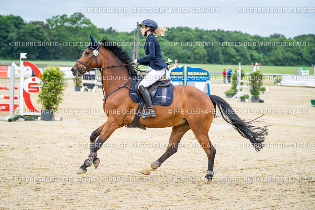 DSC03716 | Pferdegrafie