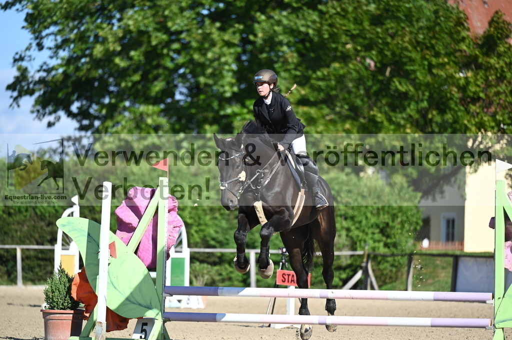 DSC_7929 | equestrian-live-com