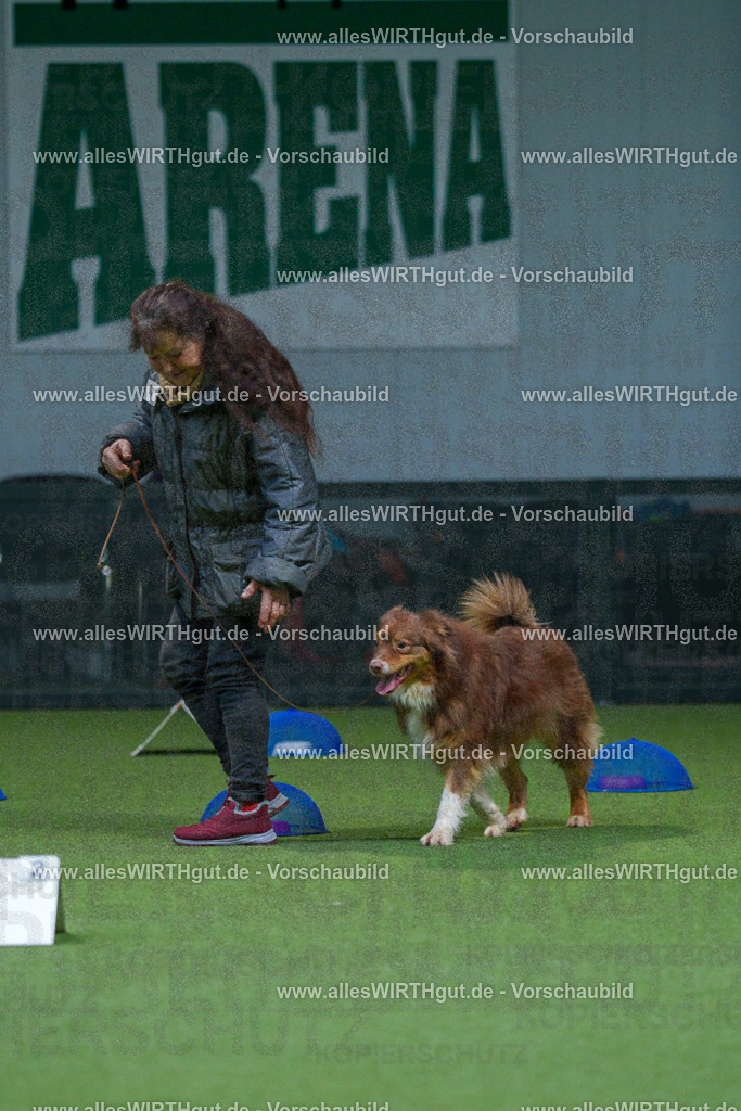 7R501167 | Professionelle Tierfotografie in Mönchengladbach von Daniel Wirth (allesWIRTHgut). Liebevolle & natürliche Bilder von Hunden & Katzen für unvergessliche Erinnerungen.