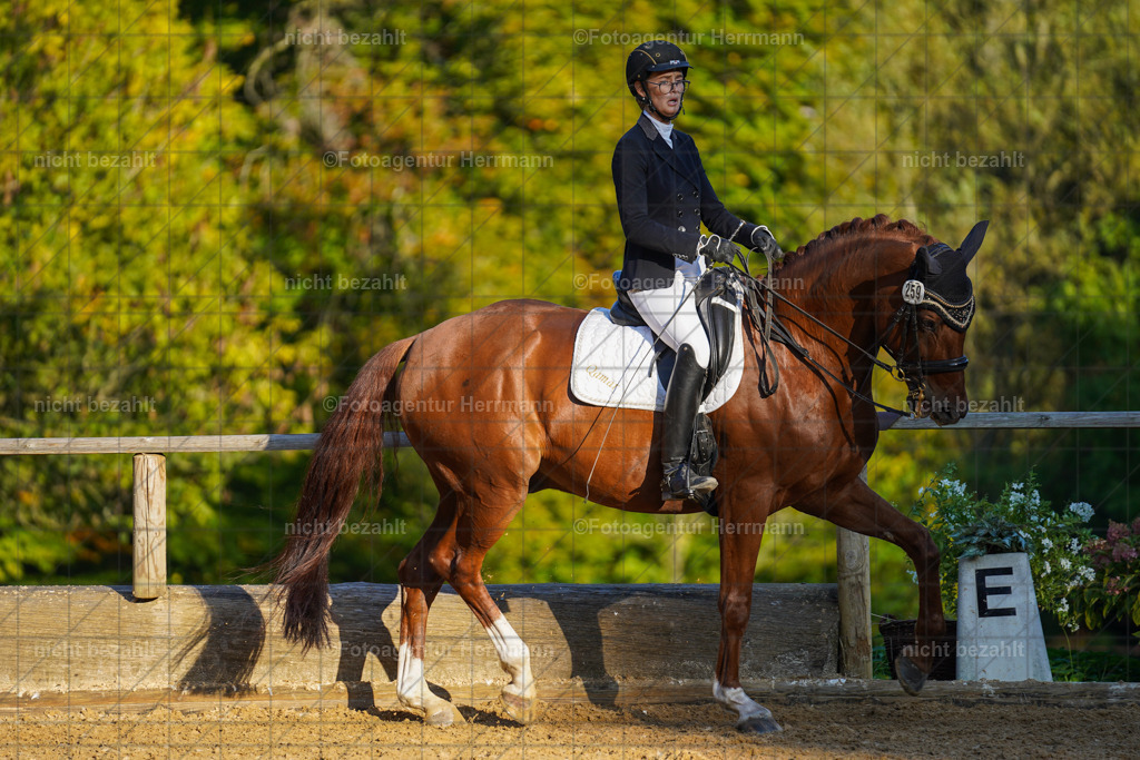20221007-FAH00332 | Diessen am Ammersee, 2022, Dressur- und Springturnier, Reitsportbilder, Turnierfotografen Bayern, Pferdefotografen, Fotoagentur Herrmann, Turnierbilder
