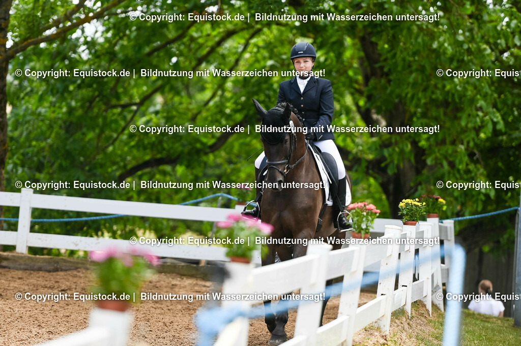 20230716_03_Dressurprfg. Kl.L - Tr._0349 | equistock