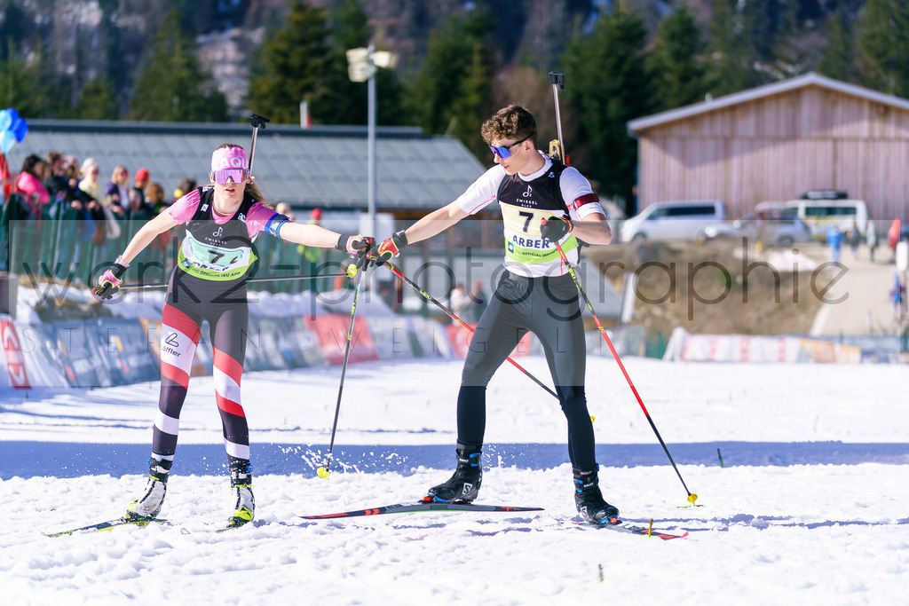 FESA Alpencup / DP Arber | 7. Deutschlandpokal Finale - ARBER Hohenzollern Skistadion, 6. - 9. März 2025