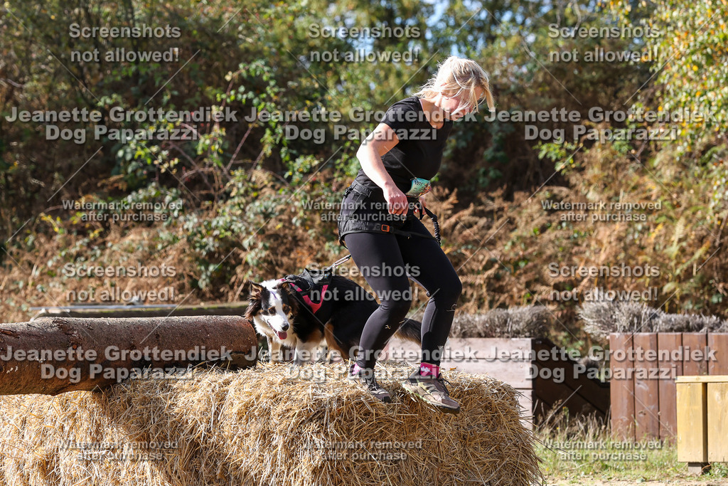Dog Paparazzi - Strongdog 10-25-5292 | Dog Paparazzi Jeanette Grottendiek Fotografie & Videografie - Realisiert mit Pictrs.com