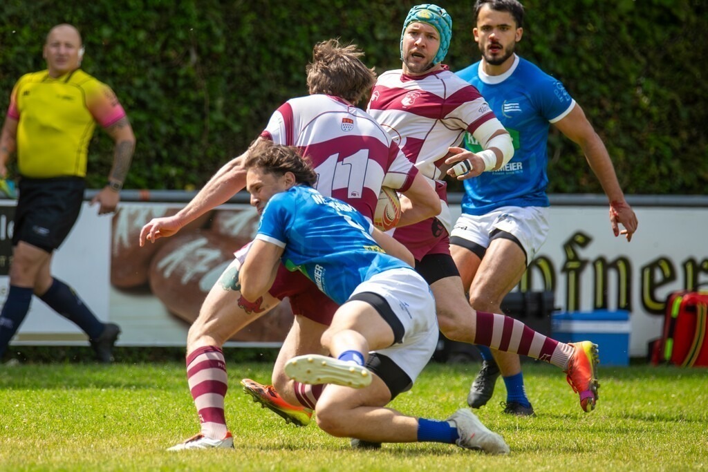 Rugby 1. Bundesliga Süd/West, Saison 2024/25, 14. Spieltag: SC Neuenheim gegen RSV Köln | Rugby 1. Bundesliga Süd/West, Saison 2024/25, 14. Spieltag: SC Neuenheim gegen RSV Köln - Realisiert mit Pictrs.com