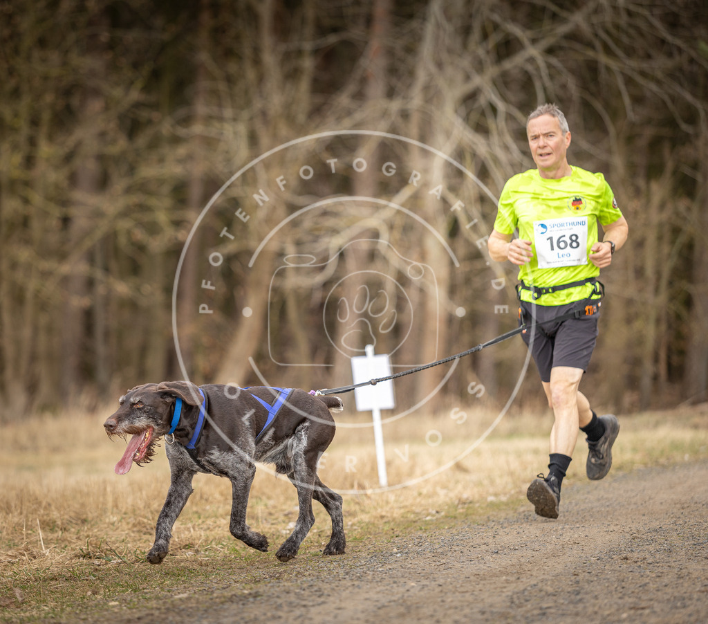 DV3A5264 | Hundefotografie, Tierfotograf, Pfotenfotografie, Fotoshooting Hund, Hunde Portrait, Hundesport, Hundeportraits, Heideshooting, Hunde, Sportfotograf, Hundefotograf, Turnierhundsport, THS,  - Realisiert mit Pictrs.com