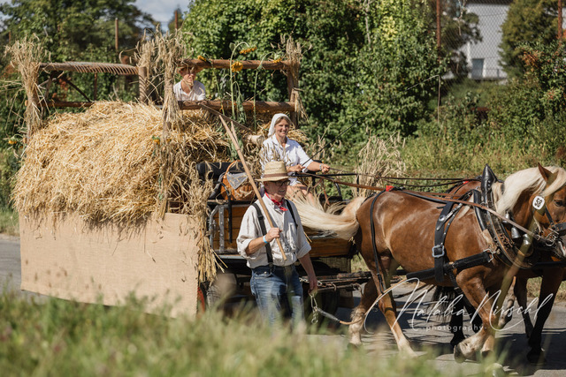 7V6A1954 | natalia-nirschl-photography