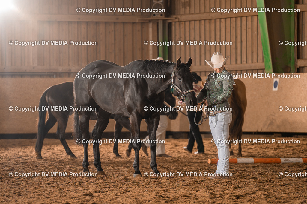 BAL01341 | dv-media-shop - Realisiert mit Pictrs.com