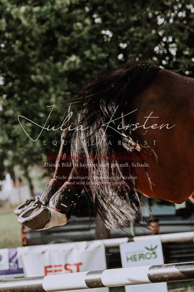 DSC_2917 | Pferde- und Turnierfotografie in Westsachsen. Pferdeportraits, Auftragszeichnungen und intuitive Kunst.