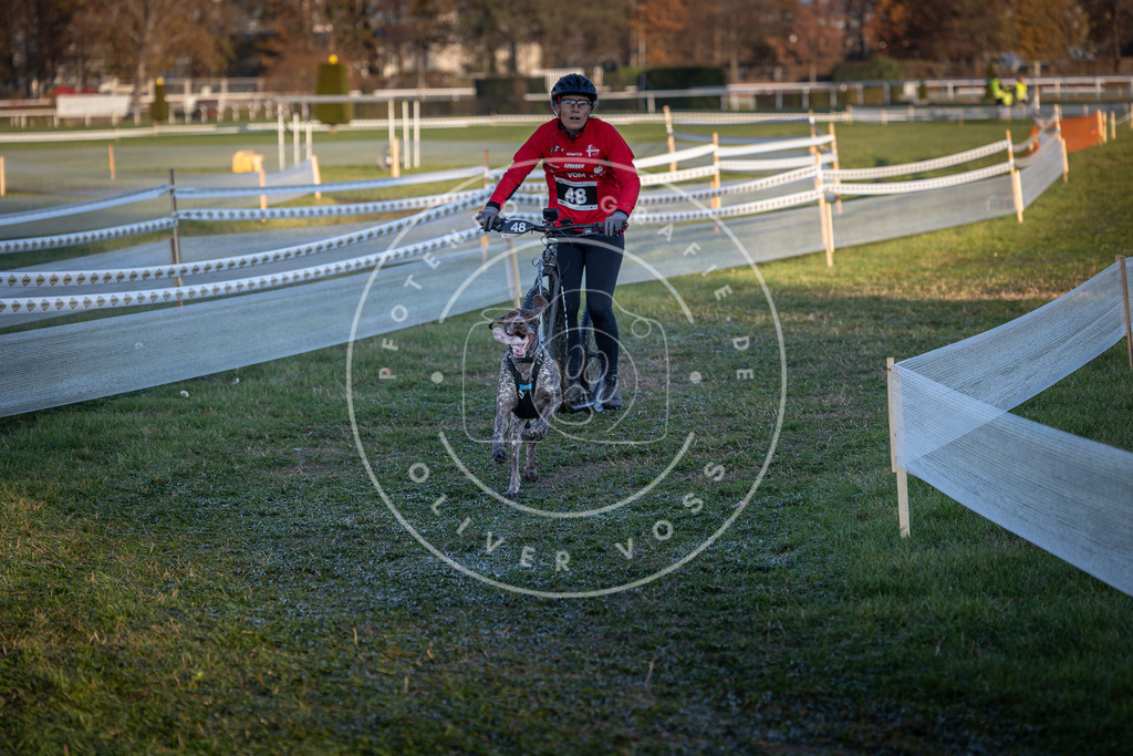 CaniXpix_0L8A2520 | Hundefotografie, Tierfotograf, Pfotenfotografie, Fotoshooting Hund, Hunde Portrait, Hundesport, Hundeportraits, Heideshooting, Hunde, Sportfotograf, Hundefotograf, Turnierhundsport, THS,  - Realisiert mit Pictrs.com