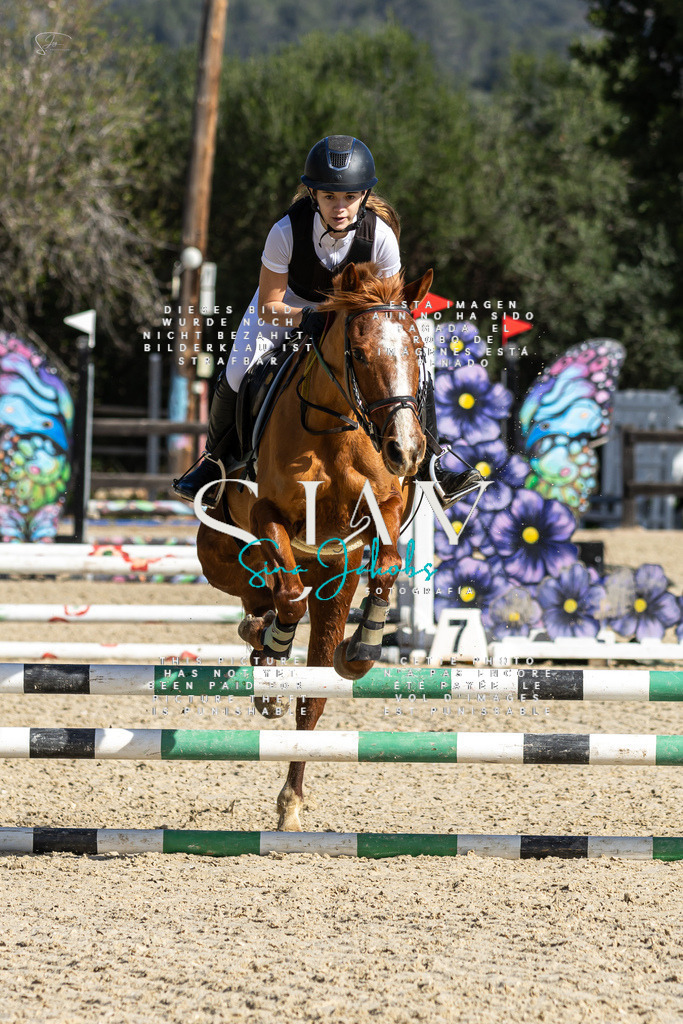 IMG_6064 | s-jay-photography - Realisiert mit Pictrs.com