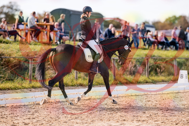 2026_10_03_Siefer-Hof_132530_Z81_76279768 | Professionelle Reitsport-, Turnier- und Eventfotografie von Robert Broda. Galerien mit ausgewählten und bearbeiteten Bildern direkt online ansehen und bestellen.