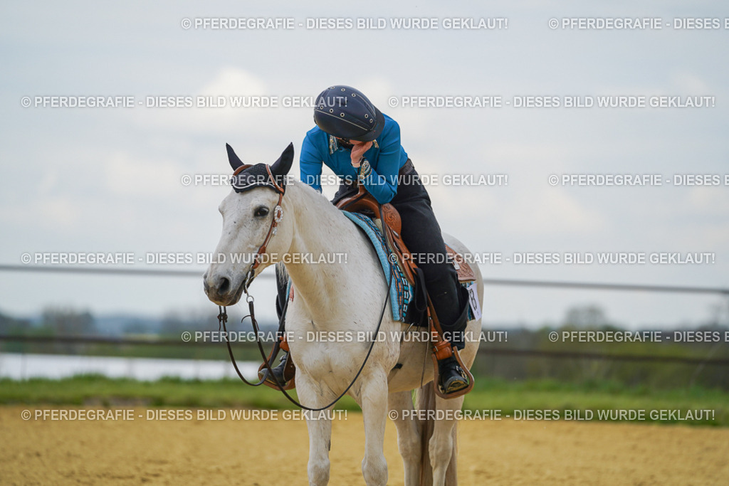 DSC06760 | Pferdegrafie