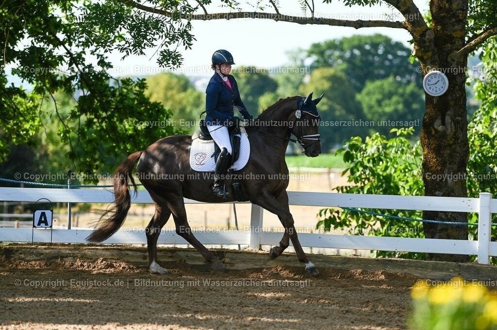 20230715_06_Dressurpferdeprfg. Kl.A_0143 | equistock