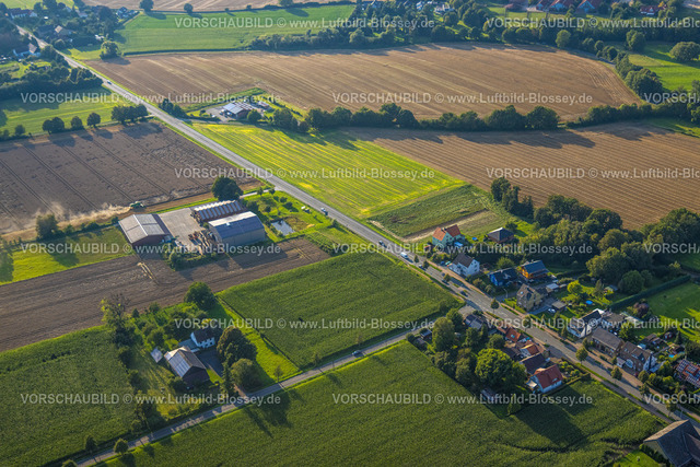 Werl230807046 | Luftbild, Wiesen und Felder mit Feldarbeit, Jüdischer Friedhof, Büdericher Bundesstraße B1, Westbüderich, Werl, Werl-Unnaer Börde, Nordrhein-Westfalen, Deutschland