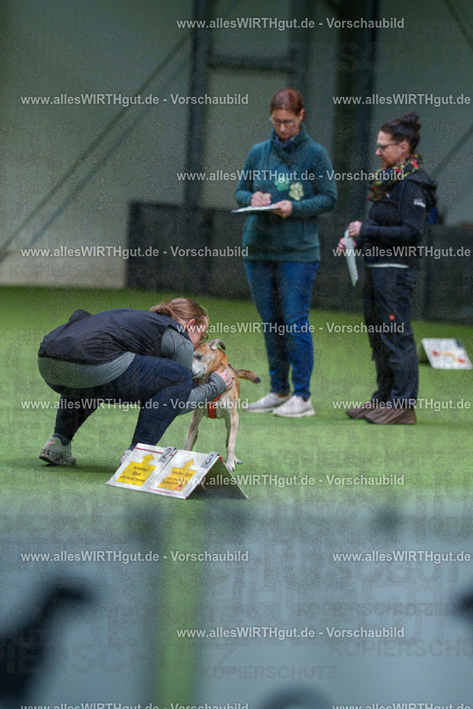 7R506209 | Professionelle Tierfotografie in Mönchengladbach von Daniel Wirth (allesWIRTHgut). Liebevolle & natürliche Bilder von Hunden & Katzen für unvergessliche Erinnerungen.