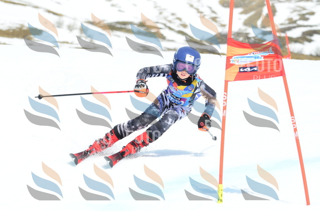 _ELE2716 | holidayphoto