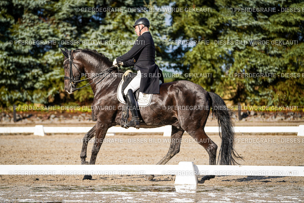 DSC00657 | Pferdegrafie