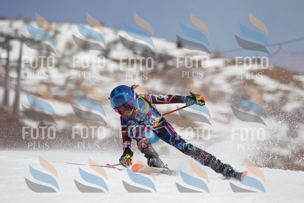 _U3G1105 | holidayphoto