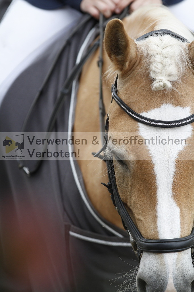 _MG_6857 | equestrian-live-com