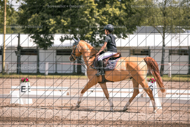 _W6A3944 | ronjaprokoschfotografie - Realisiert mit Pictrs.com