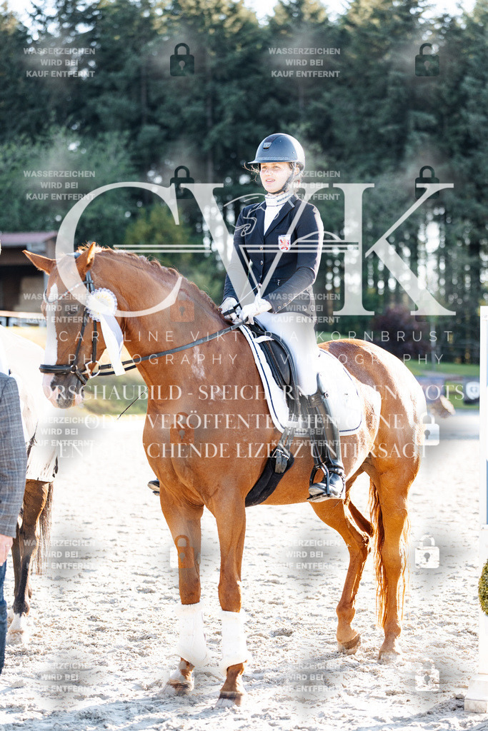 CK907260 | Turnierfotografie Pferdefotografie Trier Rheinland-Pfalz Pferdesport Reitsport Tierfotografie Sportfotografie Pferdevideo Pferdevideografie Equestrianvideography equestrianphotography  - Realisiert mit Pictrs.com
