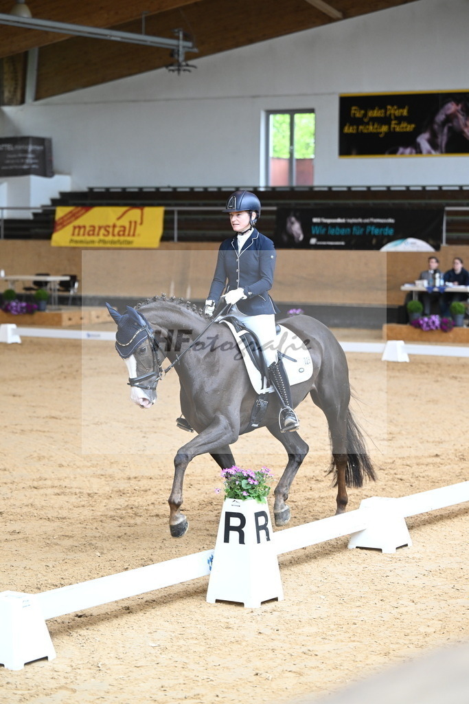 Rotheimer_Danse_avec_moi_4_10230171 | hf-fotografie - Realizzato con Pictrs.com