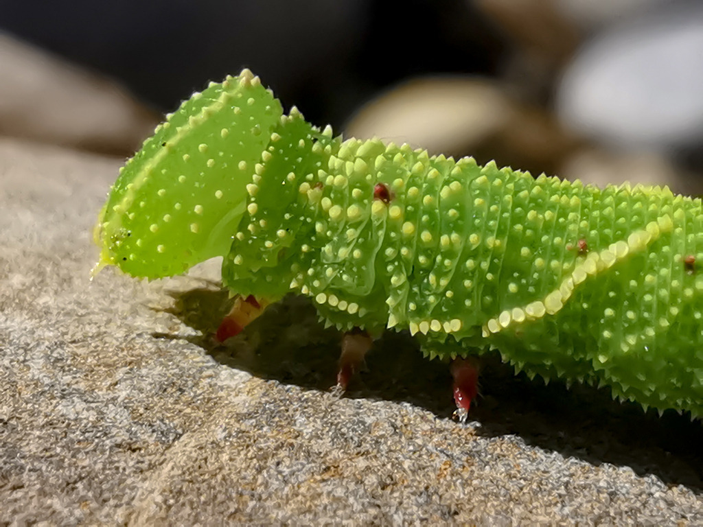 PSX_20230820_223915 | mtkfoto_ - Realisiert mit Pictrs.com