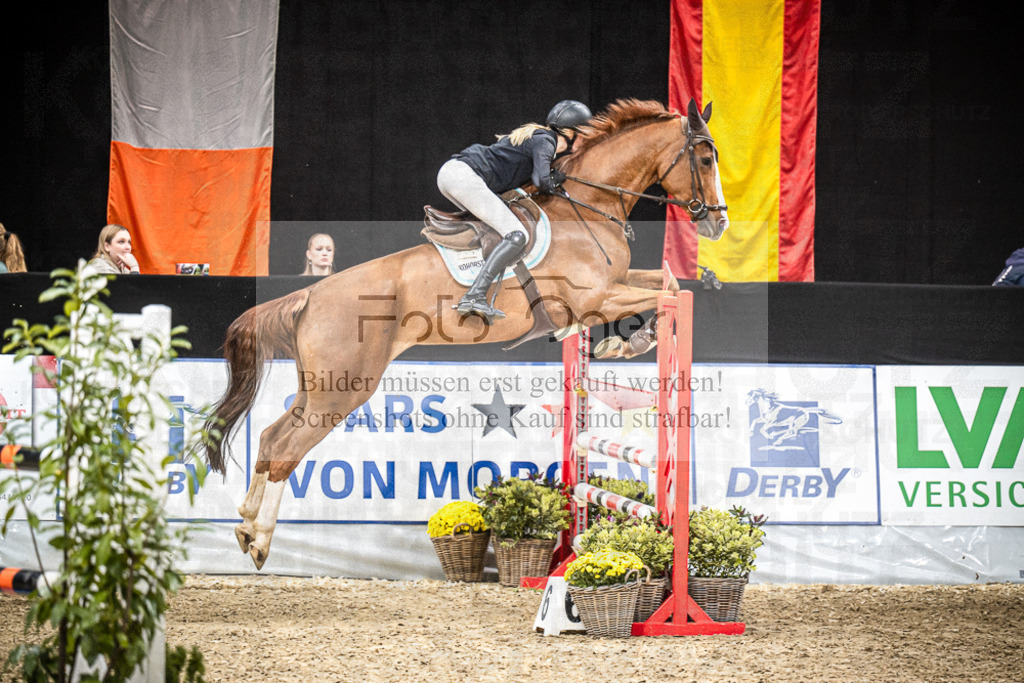 DOS_0918 | Entdecke hochwertige Reitturnierfotos von Foto Oger. Professionell, emotional und authentisch – jetzt Lieblingsmomente im Shop bestellen.Deutschlandweite Turnierfotografie. - Realisiert mit Pictrs.com