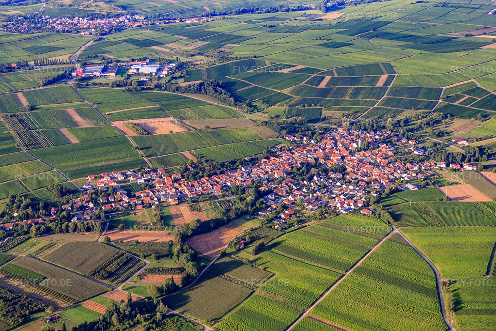 Luftbild: Winzerort von Südwesten in Göcklingen im Bundesland Rheinland-Pfalz in Deutschland. Foto: IMG_51325.jpg vom 04.08.2012 durch Werner Riehm/FLY-FOTO.de