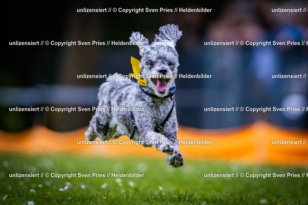 Sven Pries | 2025-05-29 - Pudelrennen KA-Durlach - Realisiert mit Pictrs.com