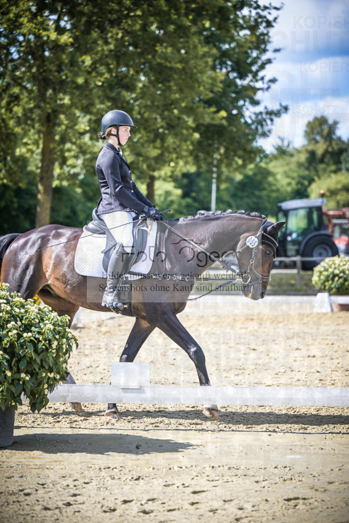 DOS_7300 | Entdecke hochwertige Reitturnierfotos von Foto Oger. Professionell, emotional und authentisch – jetzt Lieblingsmomente im Shop bestellen.Deutschlandweite Turnierfotografie. - Realisiert mit Pictrs.com