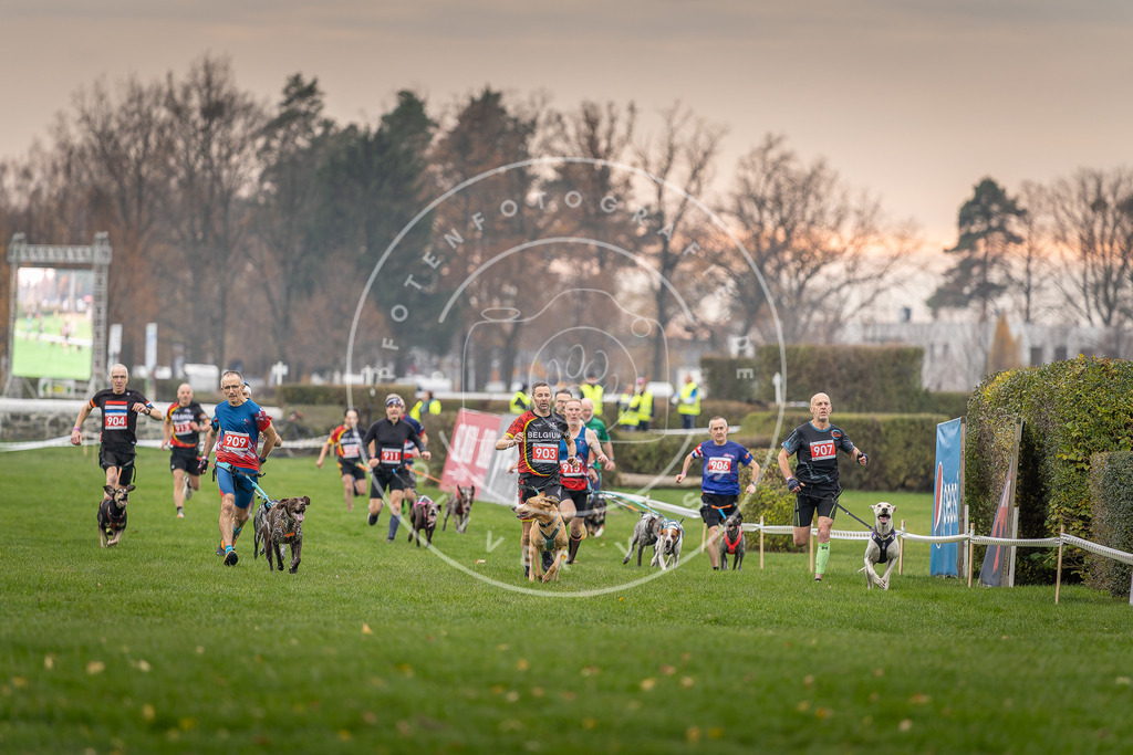 CaniXpix_DV3A6772 | Hundefotografie, Tierfotograf, Pfotenfotografie, Fotoshooting Hund, Hunde Portrait, Hundesport, Hundeportraits, Heideshooting, Hunde, Sportfotograf, Hundefotograf, Turnierhundsport, THS,  - Realisiert mit Pictrs.com