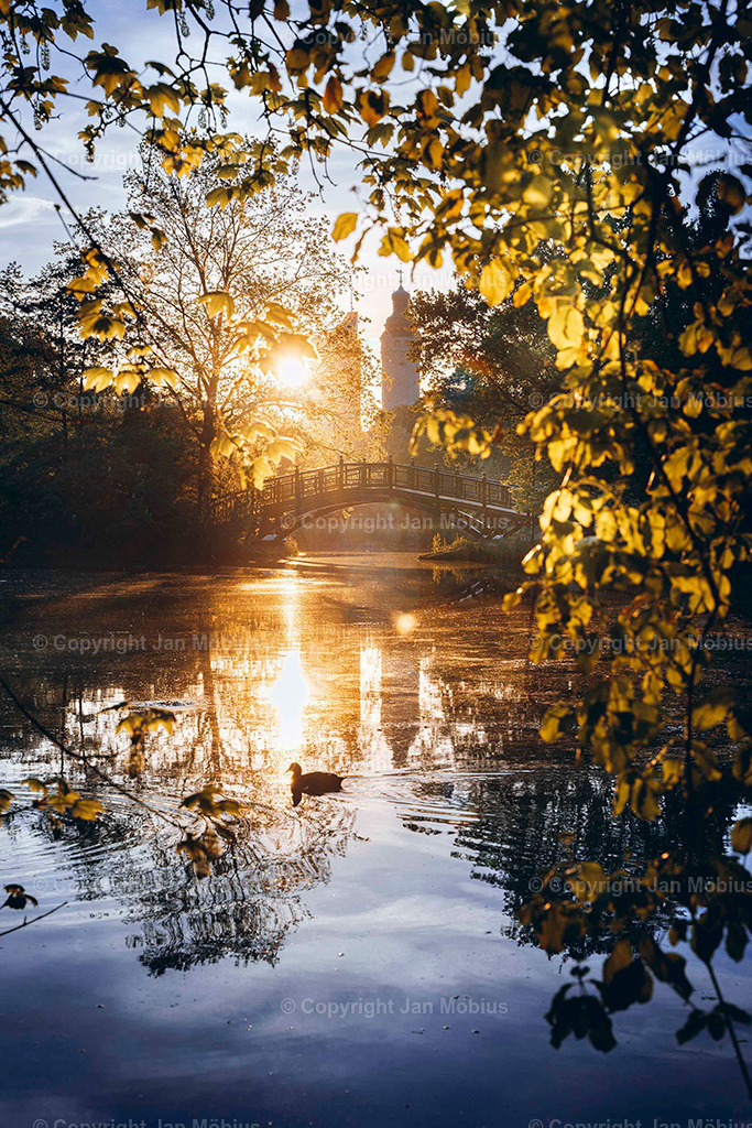 Johanna-Park | Der Johanna-Park in Leipzig verbindet Ruhe, Natur und Citynähe – ideal für Spaziergänge, Entspannung und Ausblicke auf die Stadtkulisse. - Realisiert mit Pictrs.com
