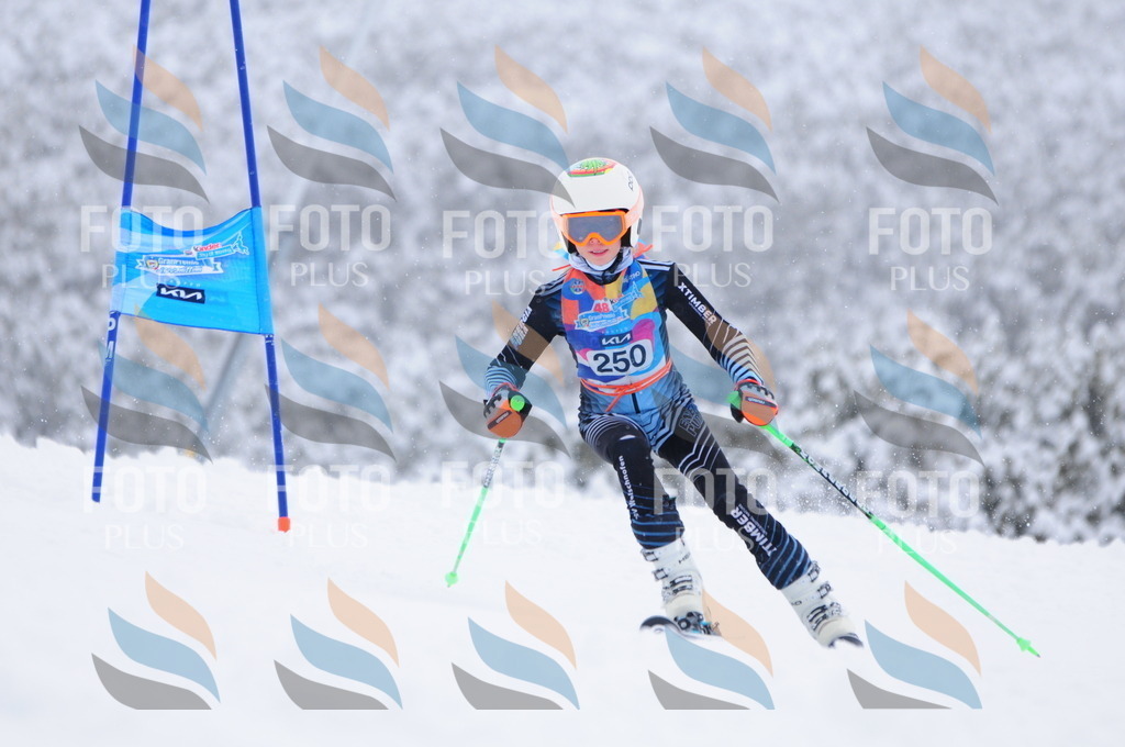 C2624 | holidayphoto