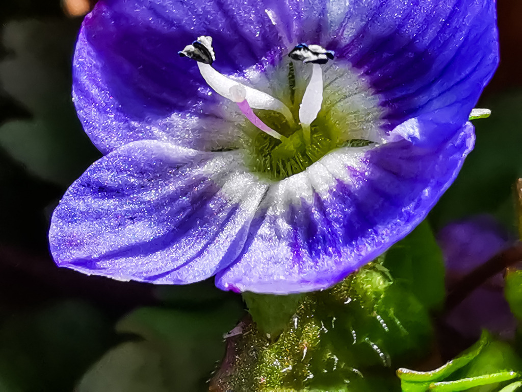 PSX_20230313_224401 | mtkfoto_ - Realisiert mit Pictrs.com